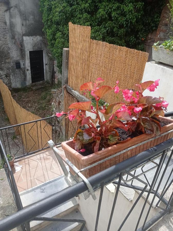 La "Casina Nel Borgo" , Relax A Un Passo Dalle 5 Terre Merizzo Exteriör bild